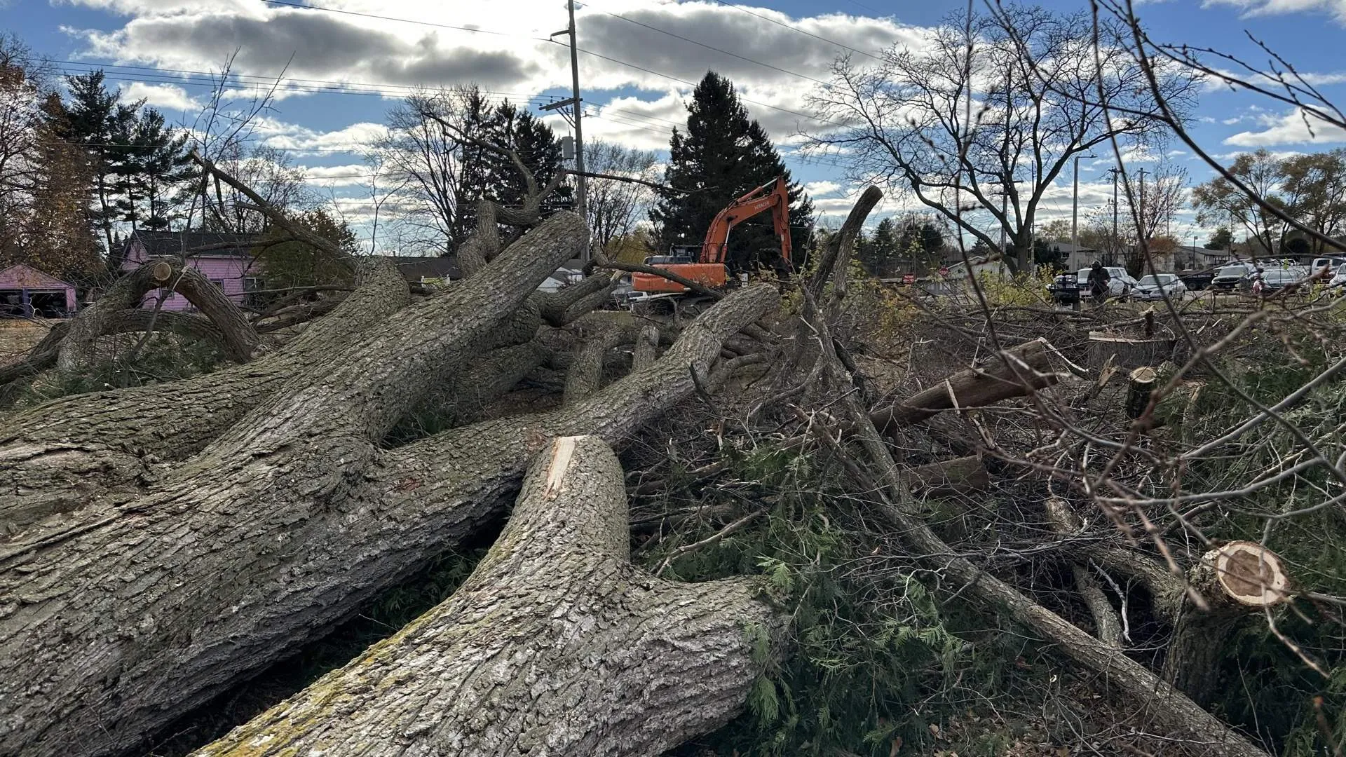 Land Clearing services near Briggsville, Wisconsin