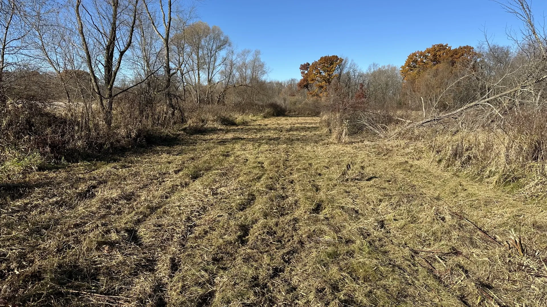 Food Plots services near Oxford, Wisconsin