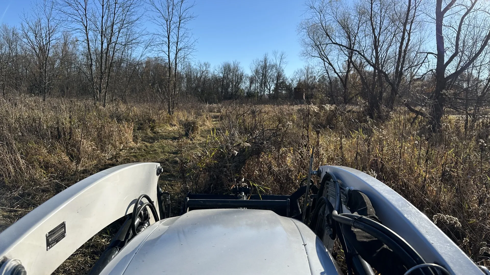 Food Plots - Maintaining food plots year to year in central Wisconsin
