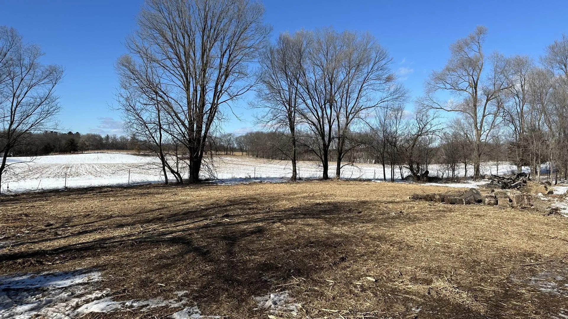 After: Dense tree line cleared to open usable land · Oxford, WI
